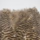 ����ʥ�ҡ������֡������� No.1
