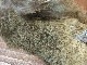 CANAL�ҡ��ԡ����å���å��ʥ��եȥϥå����[CN160]