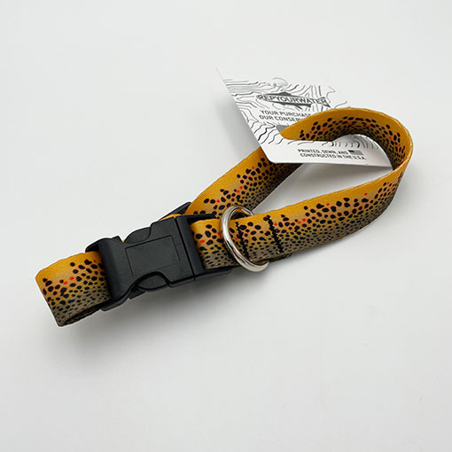 Rep Your Water - Brown Trout Dog Collar(�֥饦��ȥ饦�ȥɥå����顼)