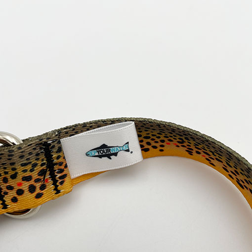 Rep Your Water - Brown Trout Dog Collar(�֥饦��ȥ饦�ȥɥå����顼)