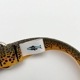 Rep Your Water - Brown Trout Dog Collar(�֥饦��ȥ饦�ȥɥå����顼)
