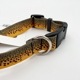 Rep Your Water - Brown Trout Dog Collar(�֥饦��ȥ饦�ȥɥå����顼)