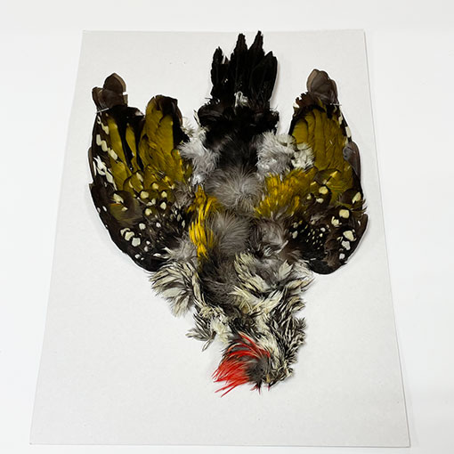 ����ʥ롡���åɥڥå���������ץ꡼�ȥ�����2