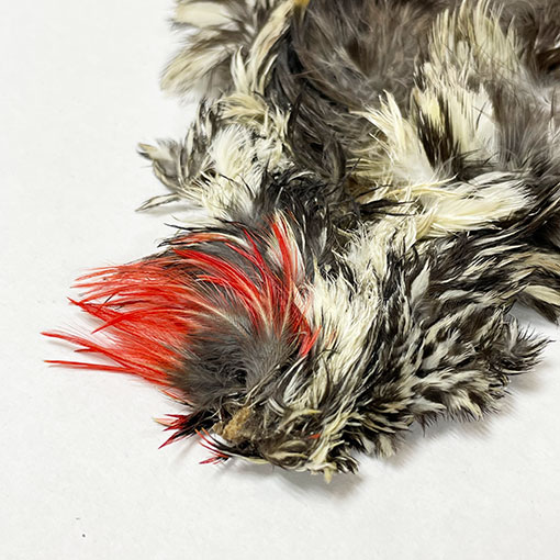 ����ʥ롡���åɥڥå���������ץ꡼�ȥ�����2