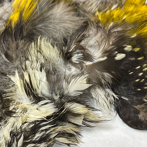 ����ʥ롡���åɥڥå���������ץ꡼�ȥ�����2