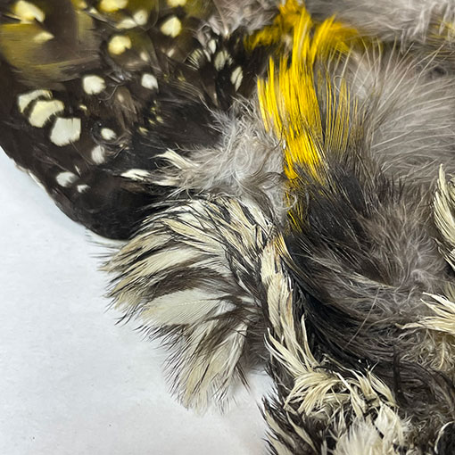 ����ʥ롡���åɥڥå���������ץ꡼�ȥ�����2