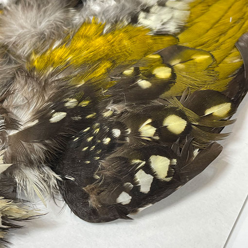 ����ʥ롡���åɥڥå���������ץ꡼�ȥ�����2