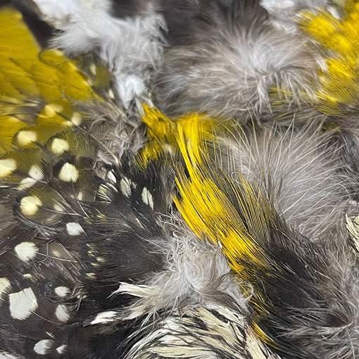 ����ʥ롡���åɥڥå���������ץ꡼�ȥ�����2