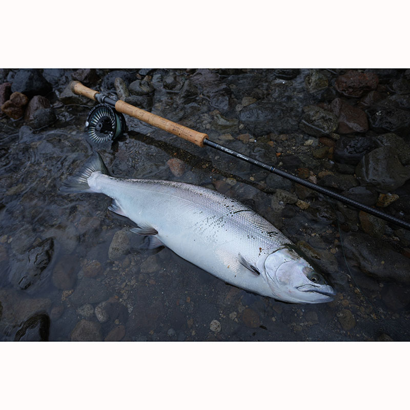 CHROME #6 (12ft )