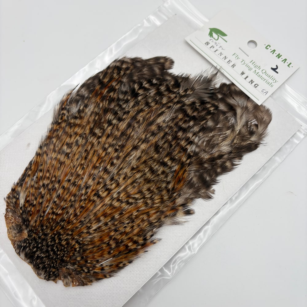 CANAL�ҡ�����ǥ����� ���ԥʡ�������(SA���졼�ɡ�