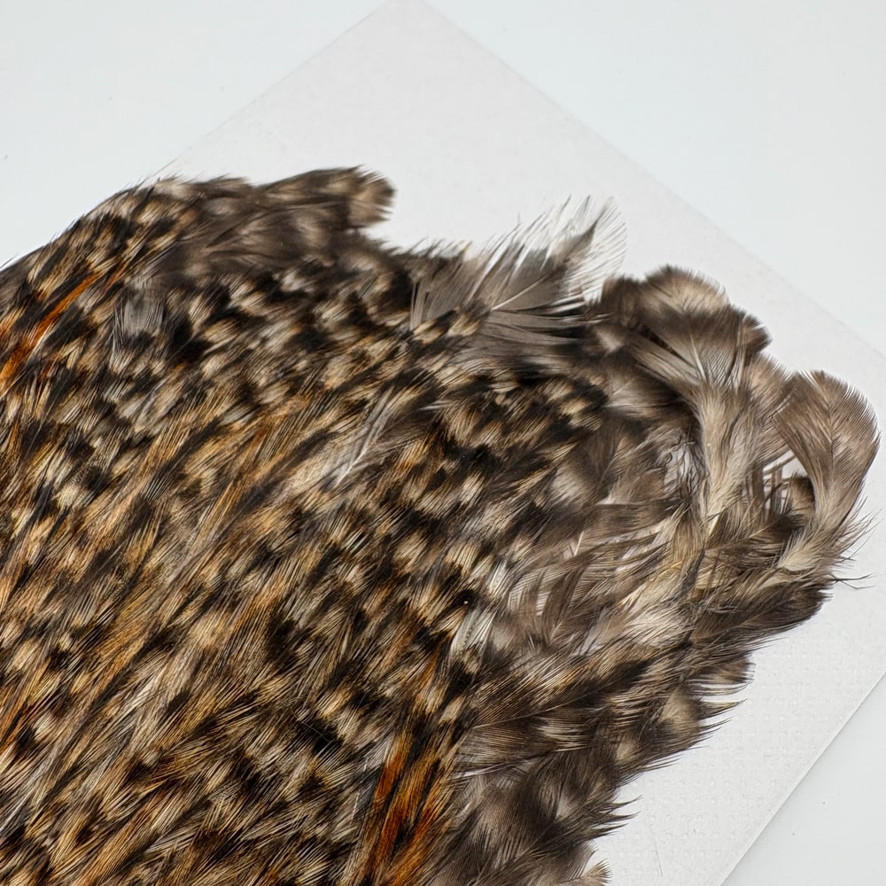 CANAL�ҡ�����ǥ����� ���ԥʡ�������(SA���졼�ɡ�