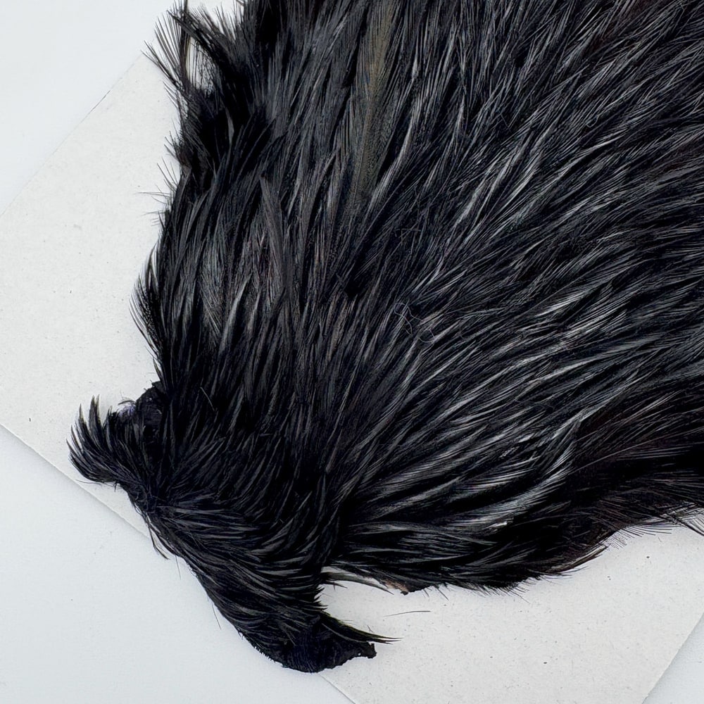 CANAL�ҡ�����ǥ����� ���ԥʡ�������(SA���졼�ɡ�