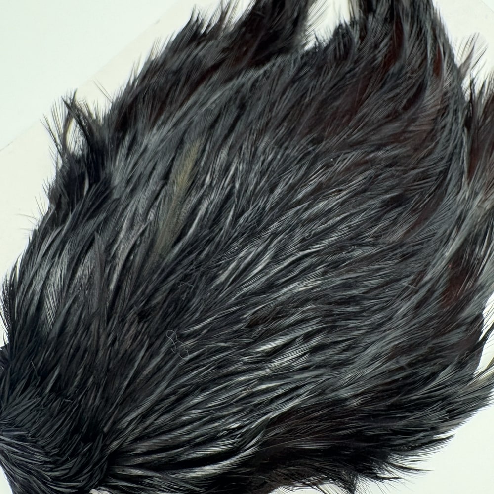 CANAL�ҡ�����ǥ����� ���ԥʡ�������(SA���졼�ɡ�