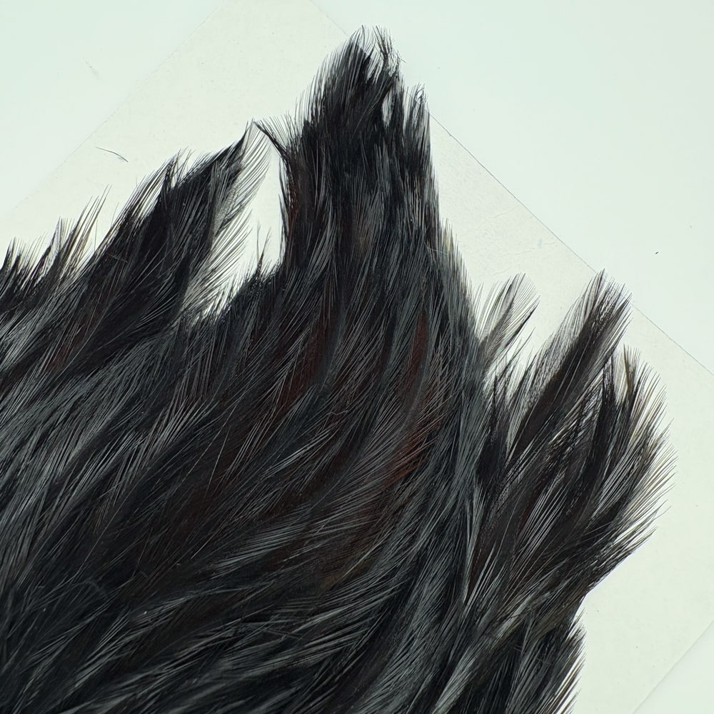 CANAL�ҡ�����ǥ����� ���ԥʡ�������(SA���졼�ɡ�