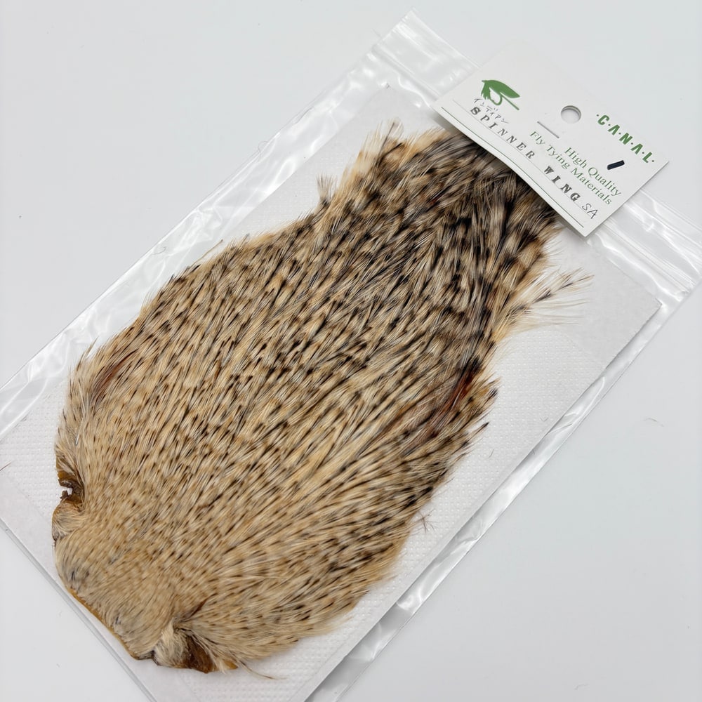 CANAL�ҡ�����ǥ����� ���ԥʡ�������(SA���졼�ɡ�