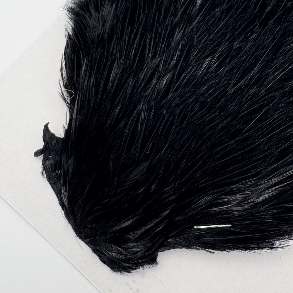 CANAL�ҡ�����ǥ����� ���ԥʡ�������(SA���졼�ɡ�