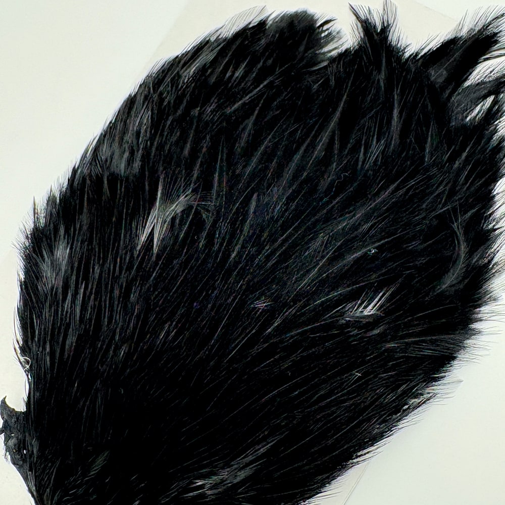 CANAL�ҡ�����ǥ����� ���ԥʡ�������(SA���졼�ɡ�