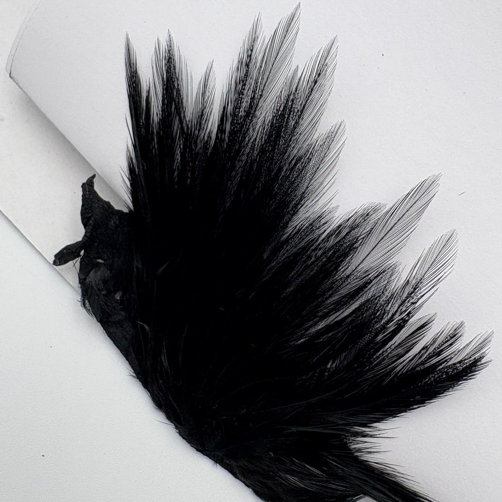 CANAL�ҡ�����ǥ����� ���ԥʡ�������(SA���졼�ɡ�