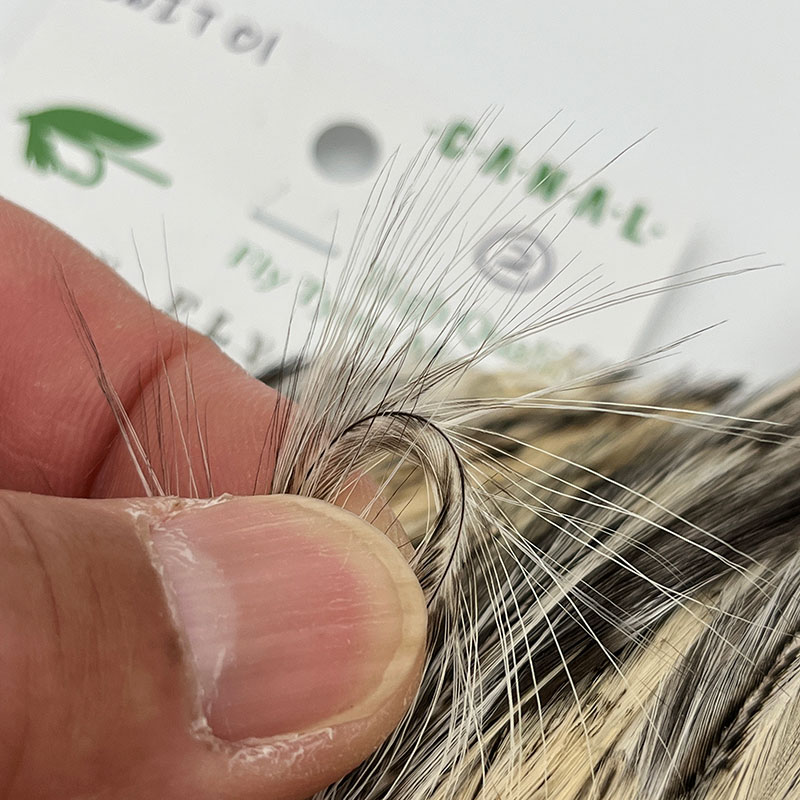 CANAL�ҡ�����ǥ����󥱡��ס�DRY FLY TAIL (SA ���졼��) CNIT01