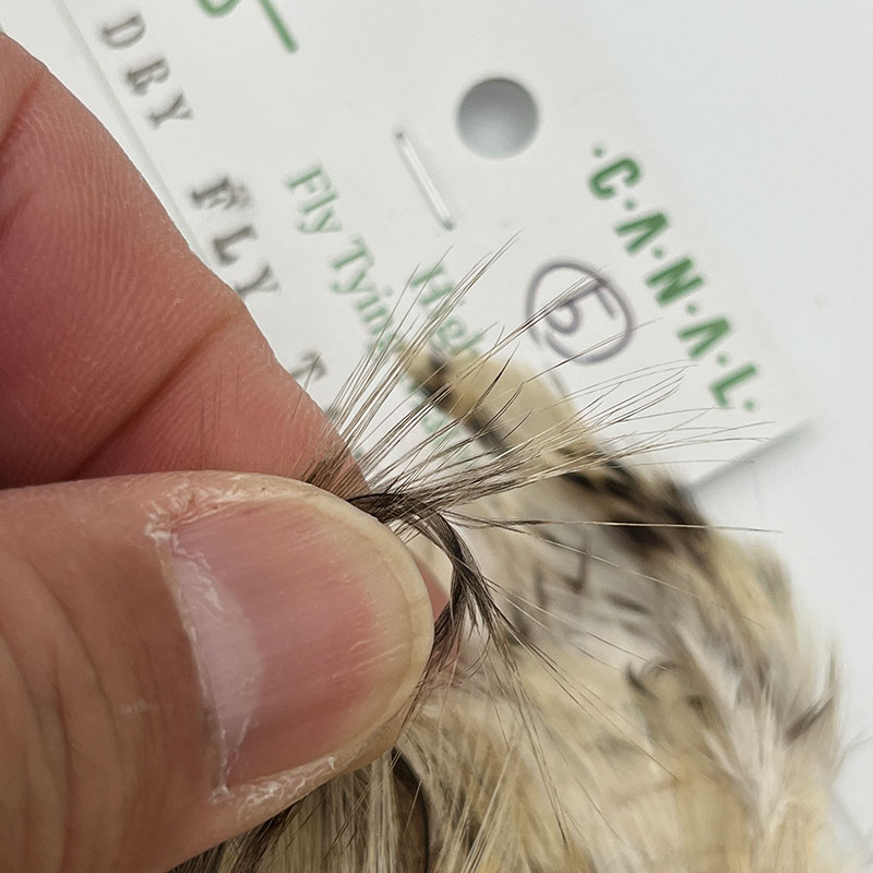 CANAL社 インディアンケープ DRY FLY TAIL (SA グレード) CNIT01