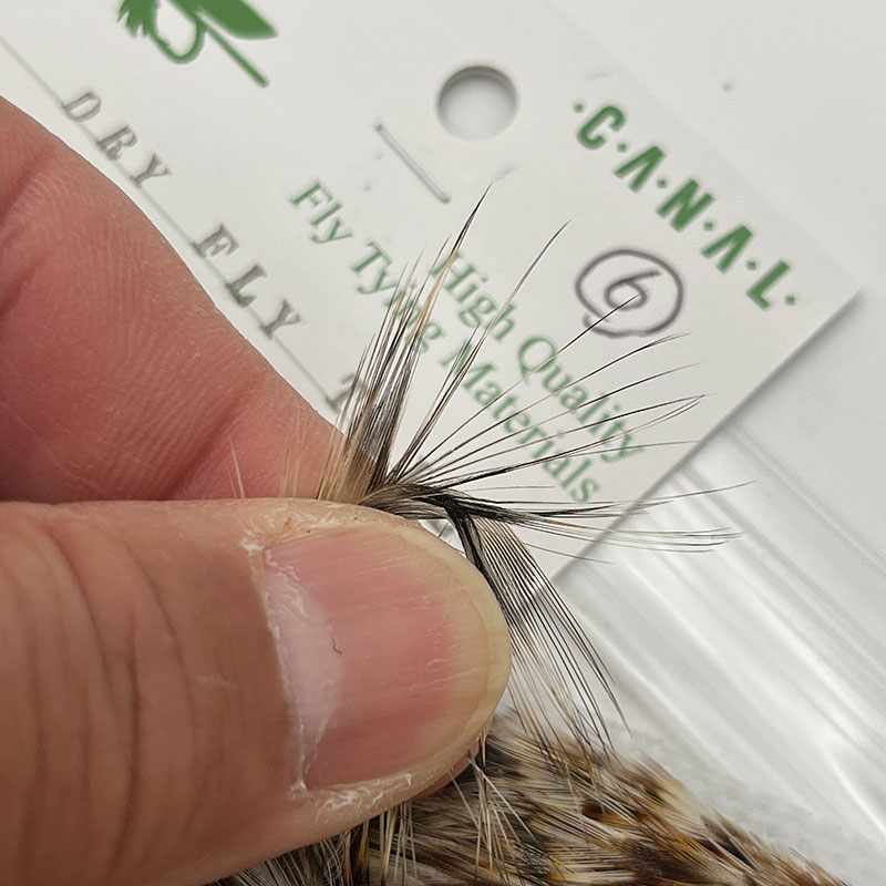 CANAL�ҡ�����ǥ����󥱡��ס�DRY FLY TAIL (SA ���졼��) CNIT01