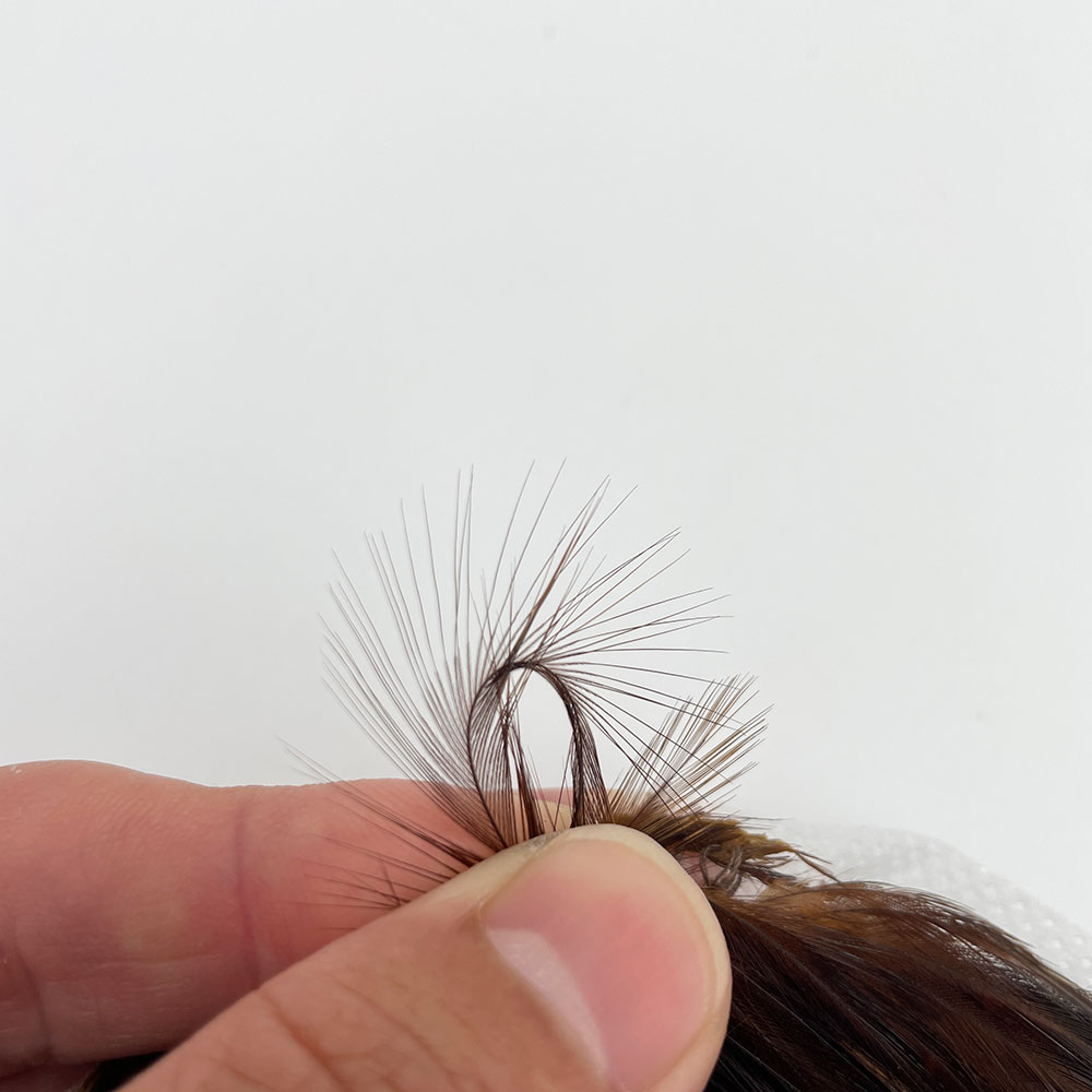 CANAL�ҡ�����ǥ����󥱡��ס�DRY FLY TAIL (SA ���졼��) CNIT01