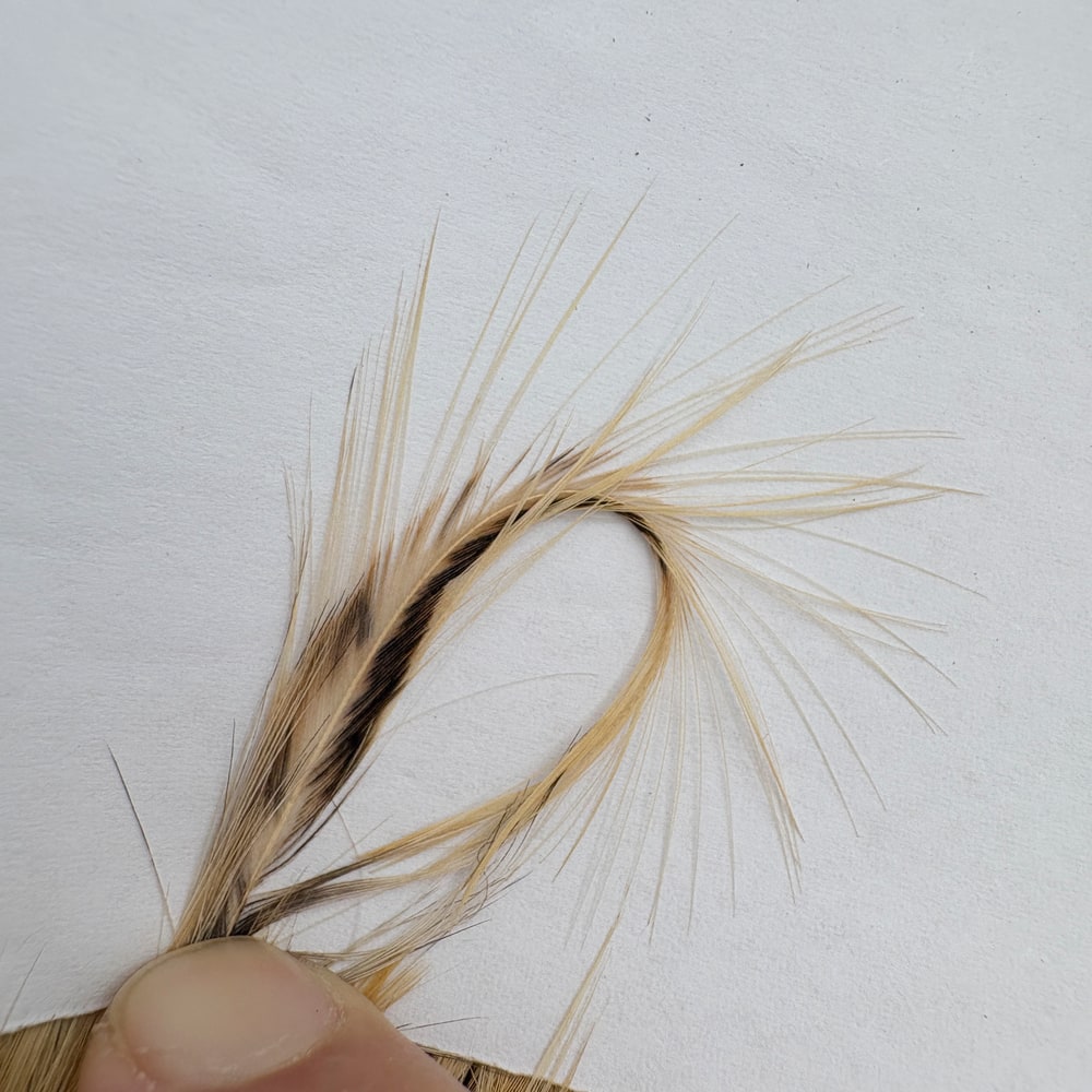 CANAL�ҡ�����ǥ����󥱡��ס�DRY FLY TAIL (SA ���졼��) CNIT01