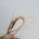 CANAL�ҡ�����ǥ����󥱡��ס�DRY FLY TAIL (SA ���졼��) CNIT01