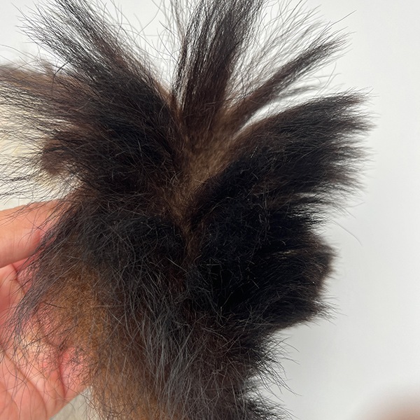 ブラックベアーマスク（ツキノワグマ）