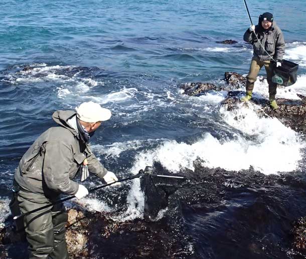 KenCube STICK NET(ǥ󥰥åաܥ饤ǥ󥰥ͥåȡ