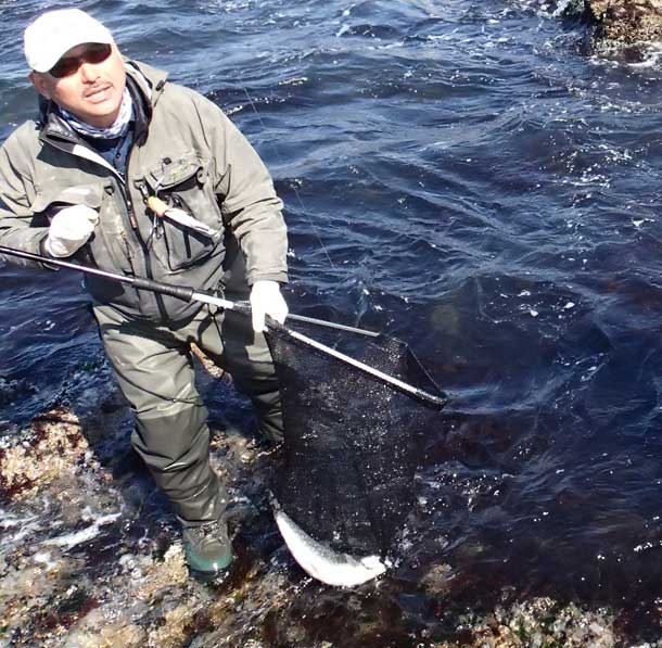 KenCube STICK NET(ǥ󥰥åաܥ饤ǥ󥰥ͥåȡ