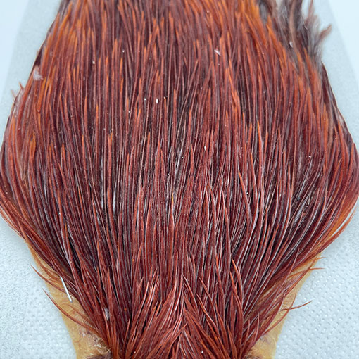 KEOUGH �ϥå��륱���ס���2���֥饦���NO.5)