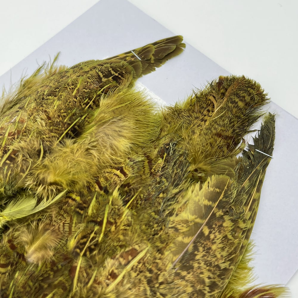 CANAL�ҡ��ѡ��ȥ�å����ʥ��꡼�֡�No.3