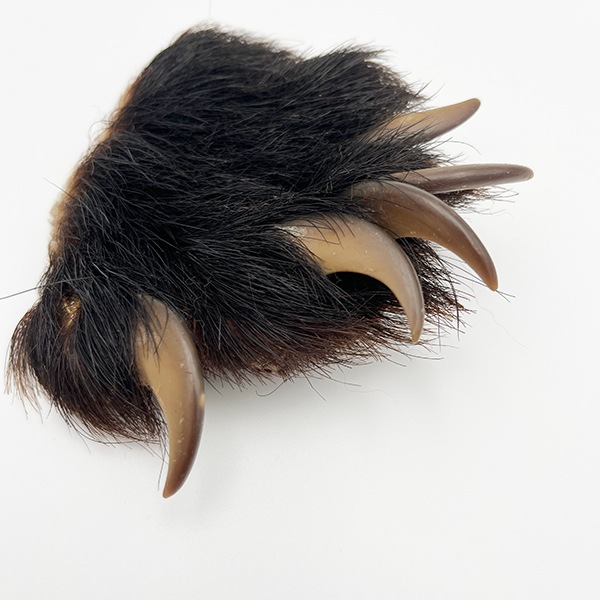 ブラックベアーホック（ツキノワグマ） 前足No.3