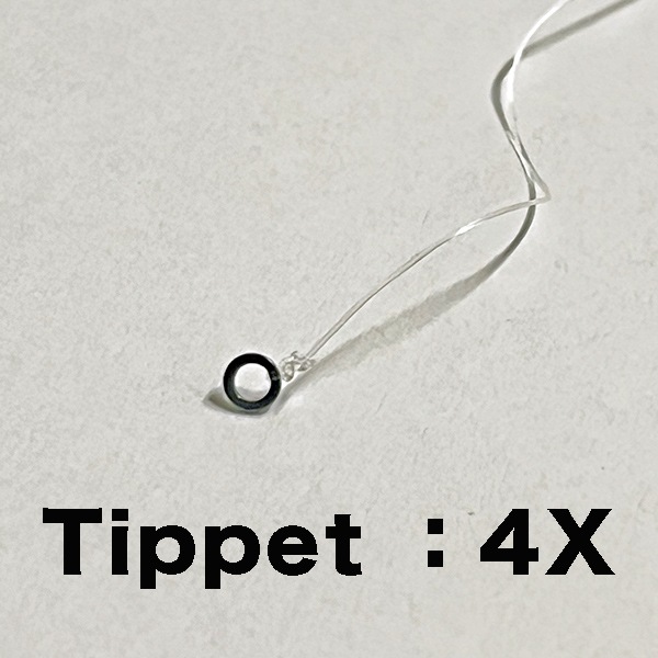 �ƥ��ڥåȥ�󥰡�10�ġ�