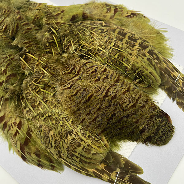 CANAL社 パートリッジ （オリーブ）No.1