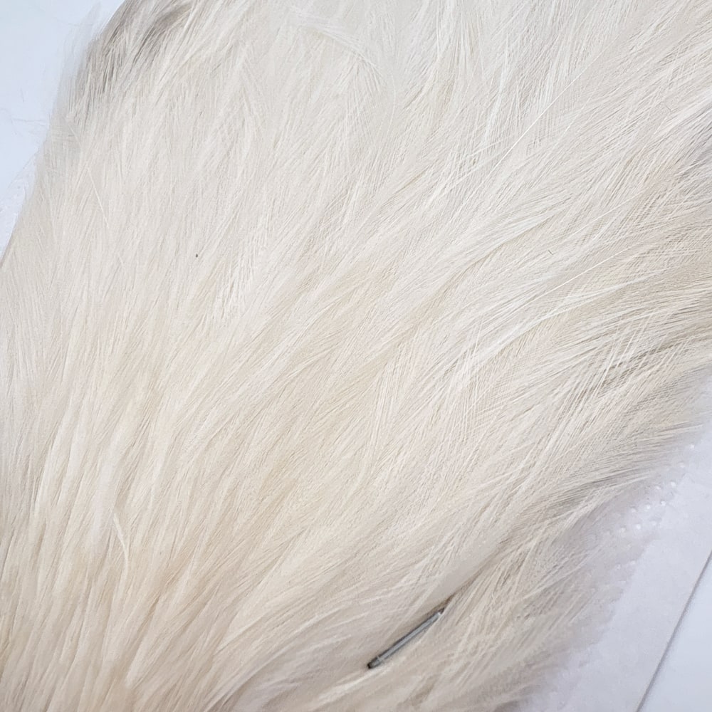 CANAL�ҡ����ԥʡ������� ���꡼�ࡡSA No.1