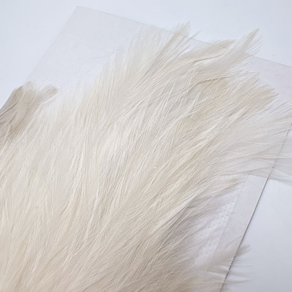 CANAL�ҡ����ԥʡ������� ���꡼�ࡡSA No.1