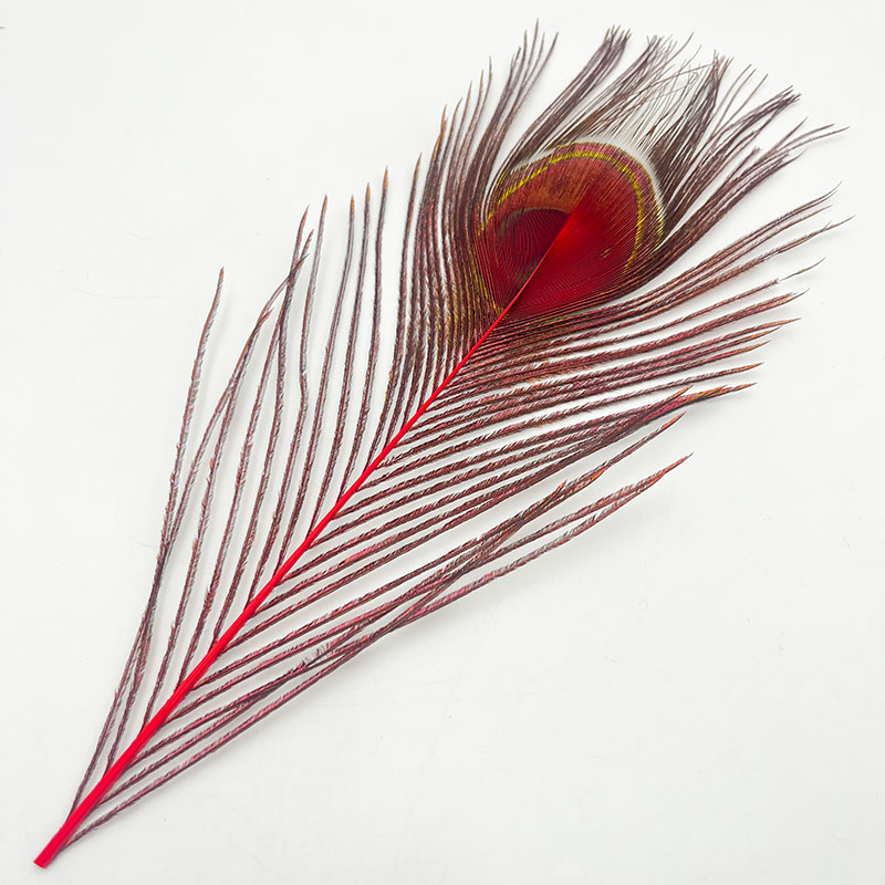 ピーコックアイ レッド（4本入り）【KCPK 002】