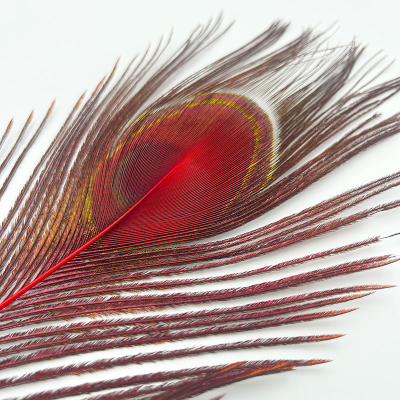 ピーコックアイ レッド（4本入り）【KCPK 002】