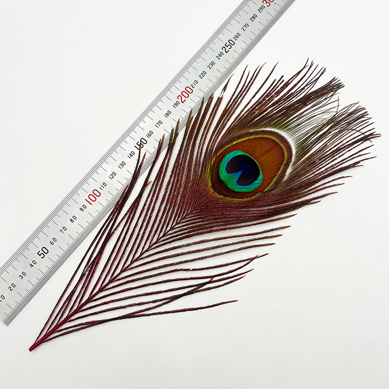 ピーコックアイ レッド（4本入り）【KCPK 002】