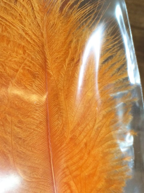 CANAL社 SPEY PLUMES スペイプルーム