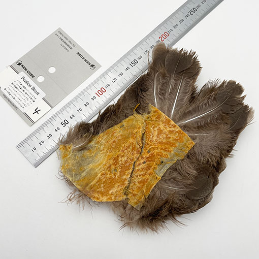 KEN-CUBE���ԡ��إ�֥쥹��