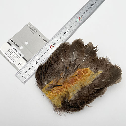 KEN-CUBE���ԡ��إ�֥쥹��