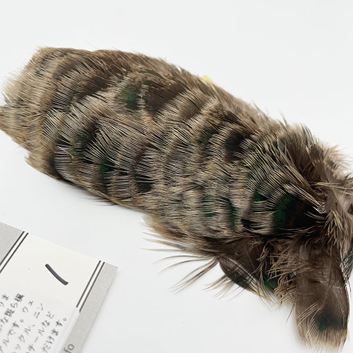 KEN-CUBE���ԡ��إ�֥쥹��