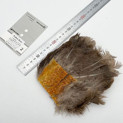 KEN-CUBE���ԡ��إ�֥쥹��