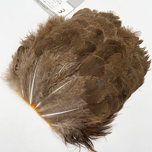 KEN-CUBE���ԡ��إ�֥쥹��