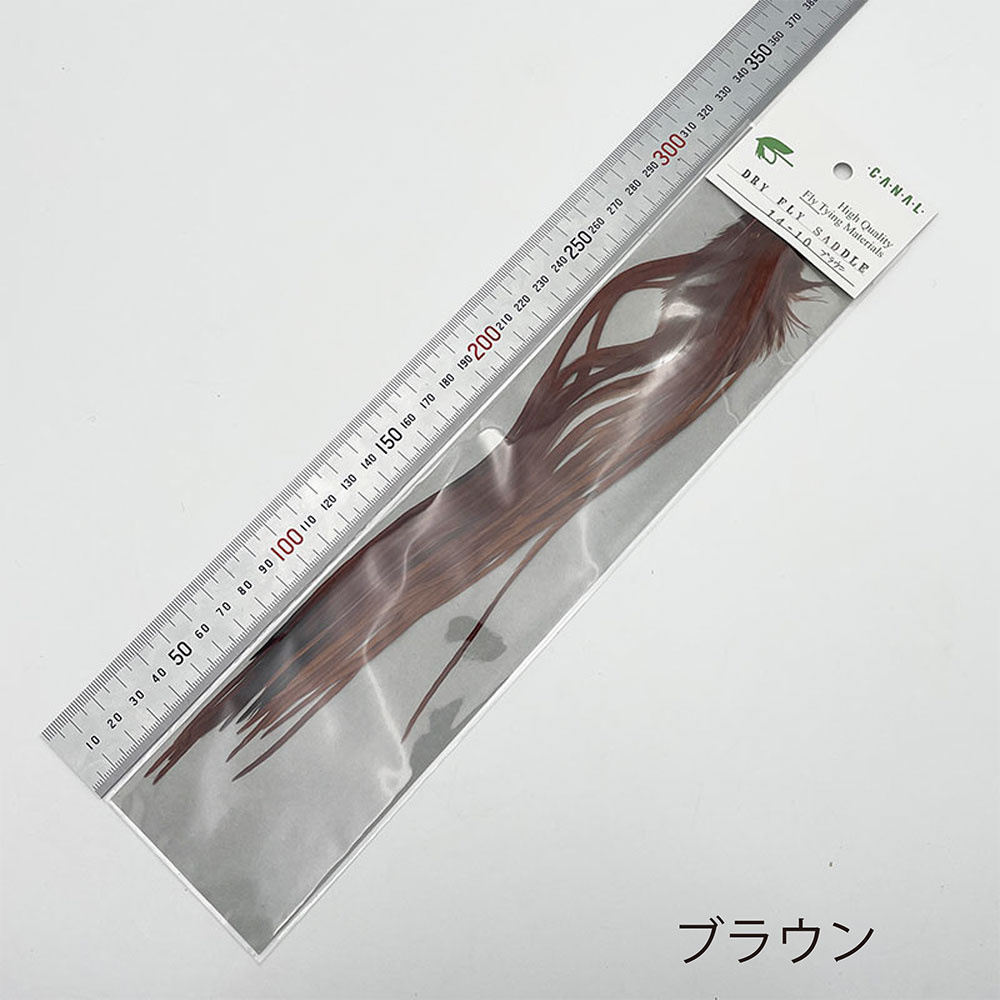 CANAL�ҡ��ɥ饤�ե饤���ɥ�ʡ�10-��14�ˡ�CN27��