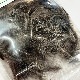 ����ʥ�ҡ������� �ϥå���ѥå���[CN272]