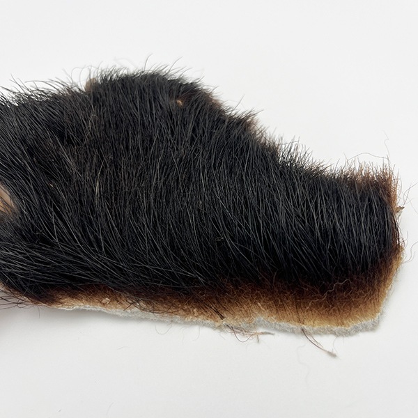 ブラックベアーホック（ツキノワグマ） 後足No.4